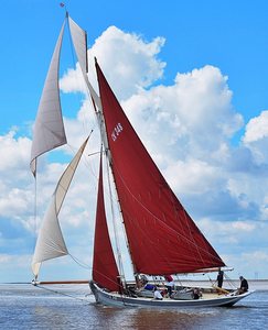 alice_new_staysail(1).jpeg